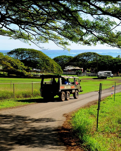 OAHU